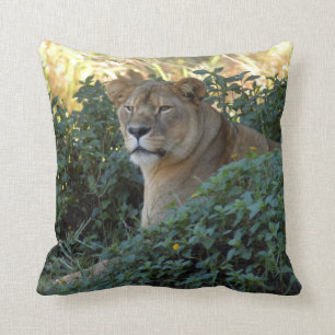 Coussin sarabi-set-1-003