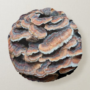 Coussin sauvage impressionnant de champignon !