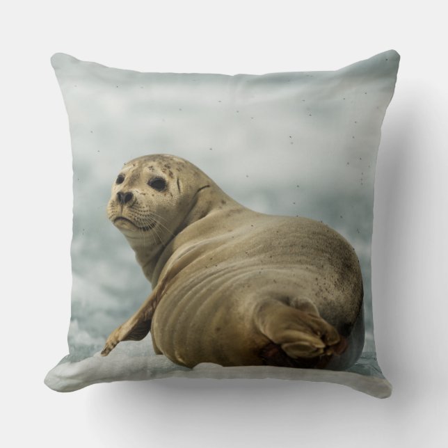 Coussin Sceau de fatigue (Recto)