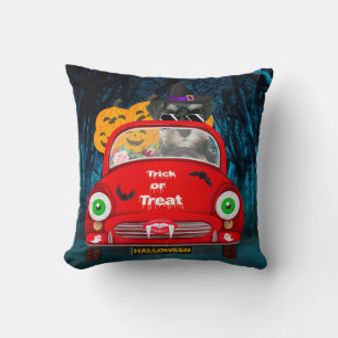 Coussin schnauzer Chien Conduisant une Voiture Effrayante
