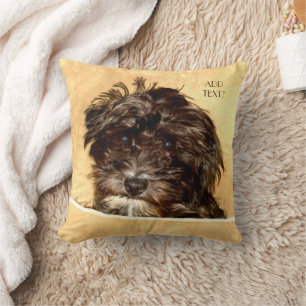 Coussin Schnoodle Dog Jeter l'oreiller avec le texte