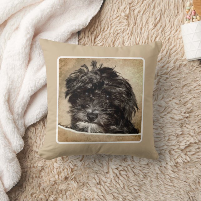 Coussin Schnoodle Pepple Thlow Pillow (Couverture)