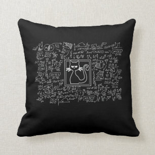 Coussin Schrodingers Cat Box Funny Science Physique Nerd