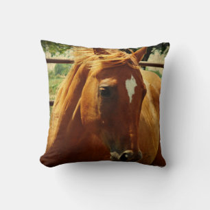 Coussin Scotch