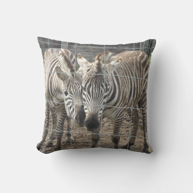 Coussin Se câliner des zèbres (Recto)