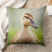 Coussin Se pencher de Mallard de bébé (Couverture)