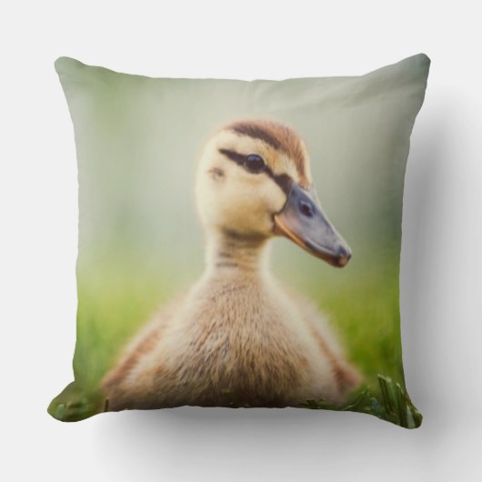 Coussin Se pencher de Mallard de bébé (Recto)