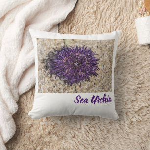 Coussin Sea Urchin Ocean Beach Vacances Souvenir d'été