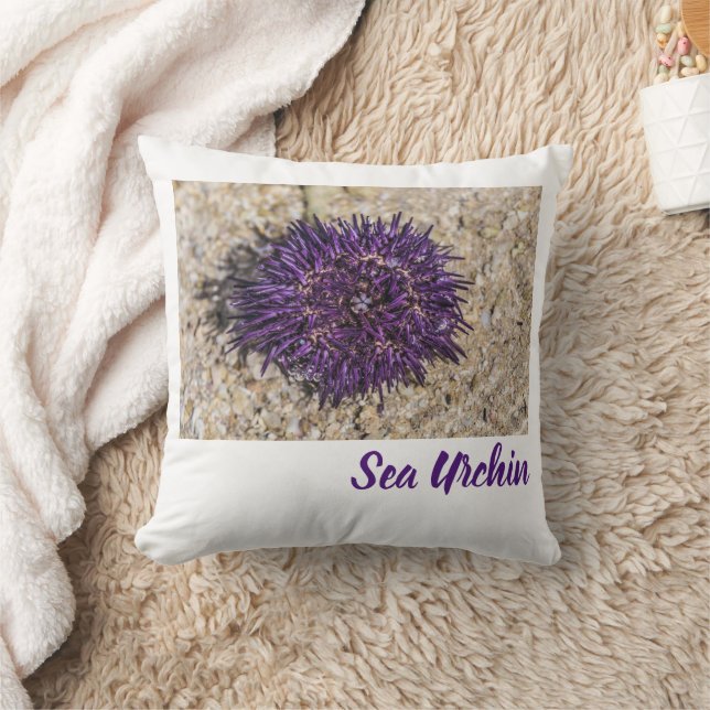 Coussin Sea Urchin Ocean Beach Vacances Souvenir d'été (Couverture)