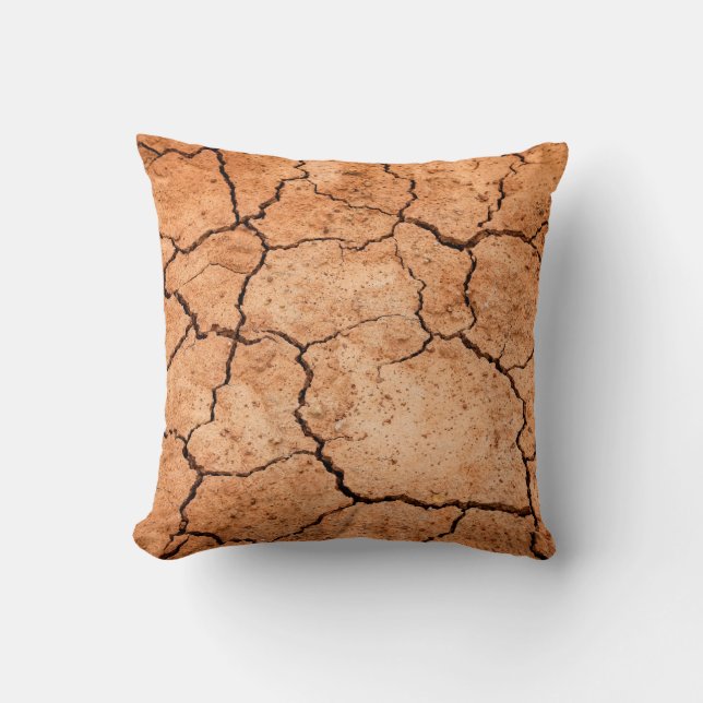 Coussin Sècheresse du sol (Recto)