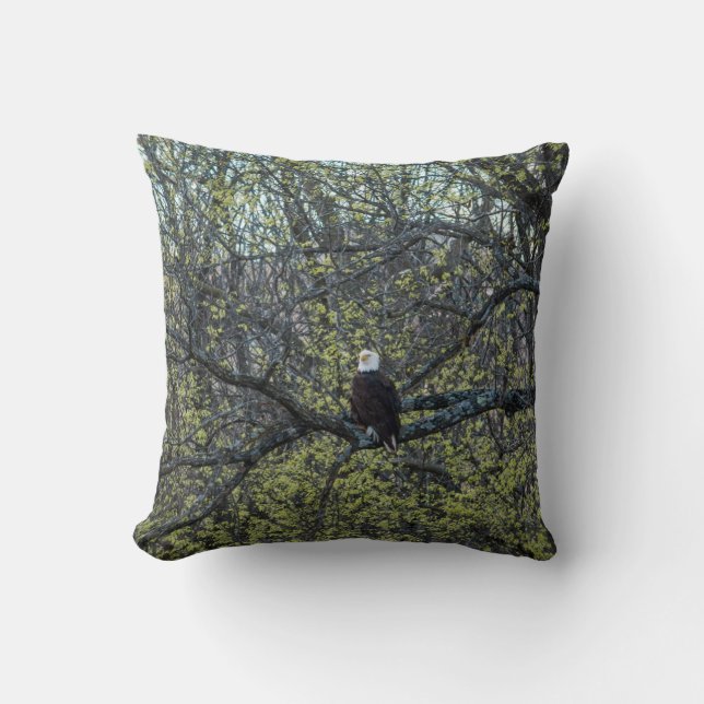 Coussin Sensibilisation aux aigles (Recto)
