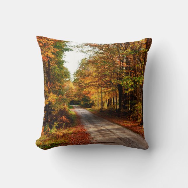 Coussin Sentier boisé avec feuillage d'automne (Recto)