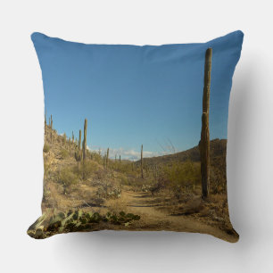 Coussin Sentier Carillo du Saguaro dans le parc national d