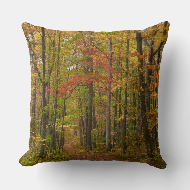Coussin Sentier de Laurel Hill en automne (Recto)