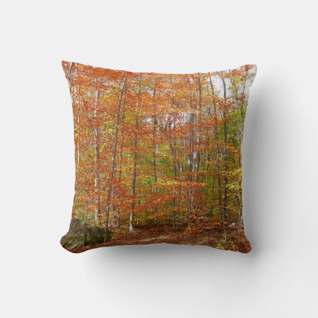 Coussin Sentier de l'automne de la lumière du soleil au pa (Recto)