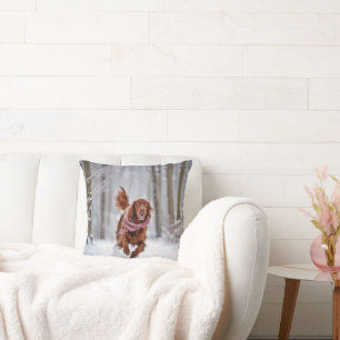 Coussin Setter Irlandais En Neige