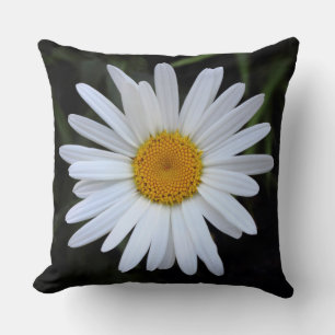 Coussin Shasta Daisy 01