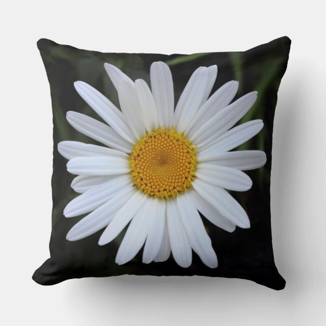 Coussin Shasta Daisy 01 (Recto)