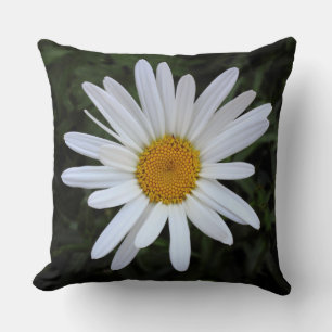 Coussin Shasta Daisy 03