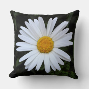 Coussin Shasta Daisy 04