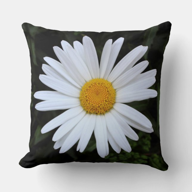 Coussin Shasta Daisy 04 (Recto)