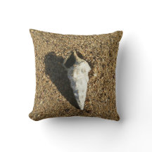 Shell sur le sable