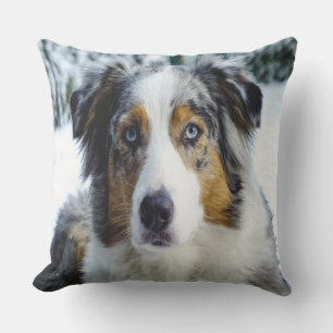 Coussin Shepard Australien En Neige