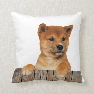 Coussin Shiba Inu