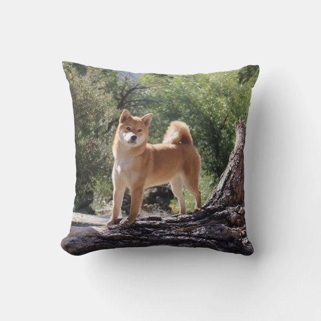 Coussin Shiba Inu (Recto)