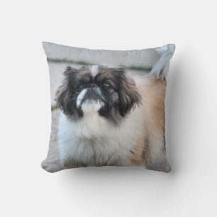 Coussin Shih Tzu