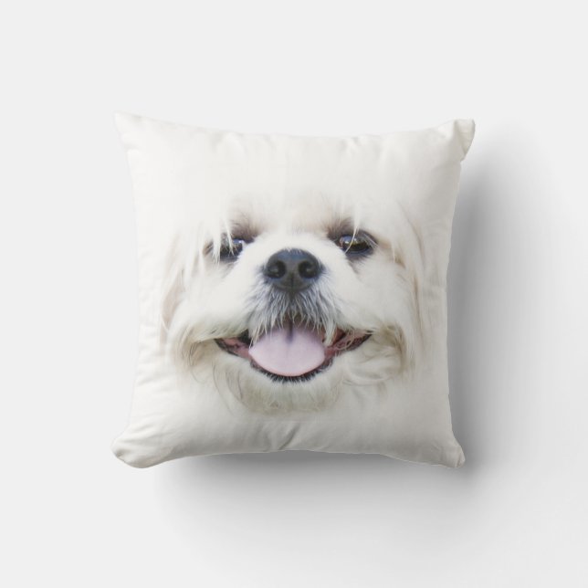 Coussin Shih Tzu font face (Recto)