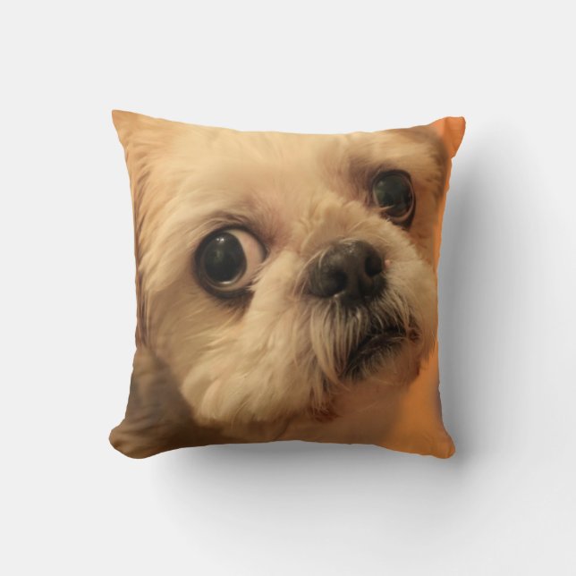 Coussin Shihtzu (Recto)