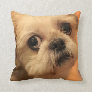Coussin Shihtzu