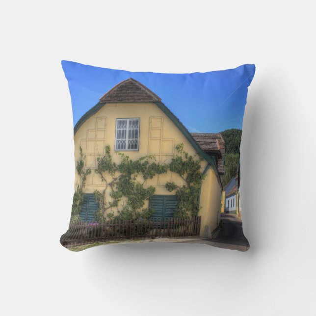 Coussin Sievering Vienne Autriche (Recto)
