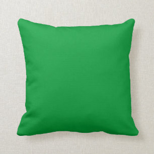coussin simple vert solide