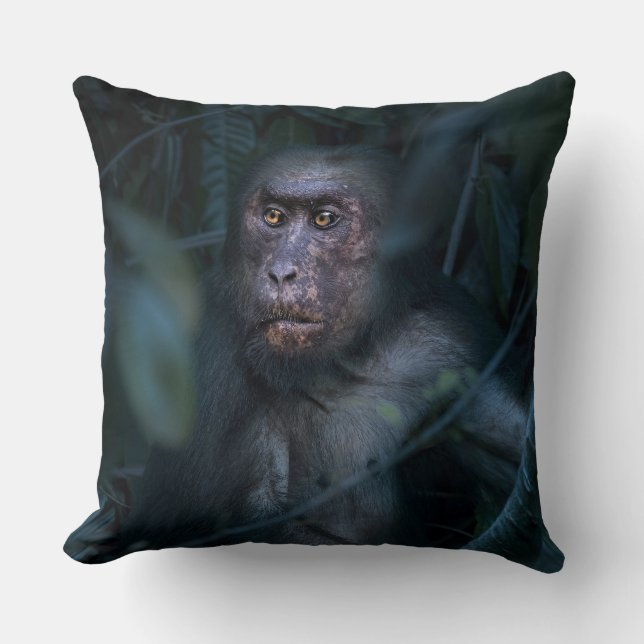 Coussin Singe dans la jungle (Recto)