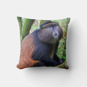 Coussin Singe doré, Rwanda