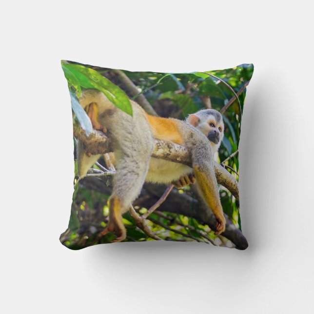 Coussin Singe écureuil à Manuel Antonio NP - Costa Rica (Recto)