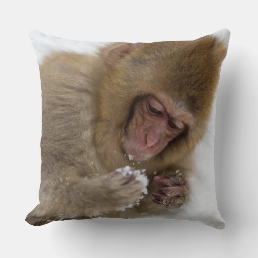 Coussin Singe japonais de neige du Macaque | de bébé (Recto)