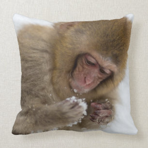 Coussin Singe japonais de neige du Macaque de bébé