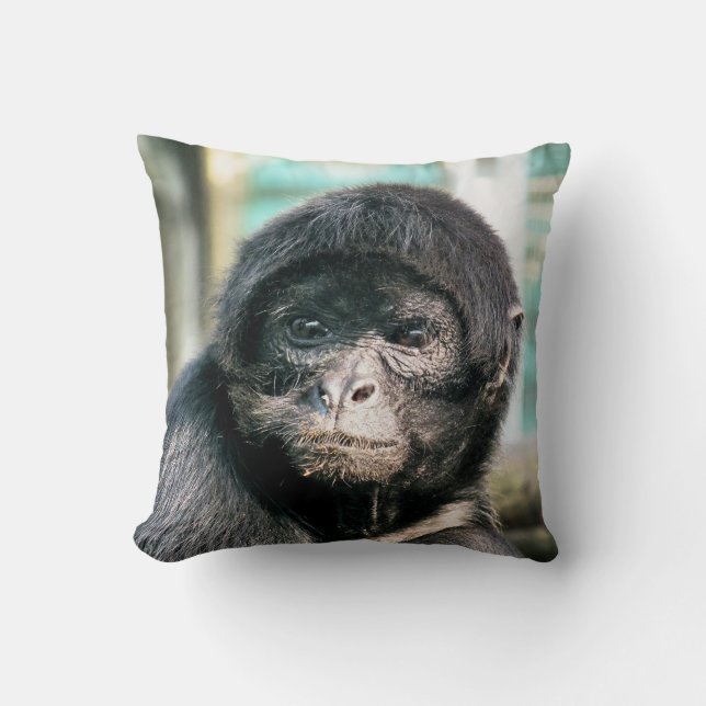 COUSSIN SINGES (Recto)