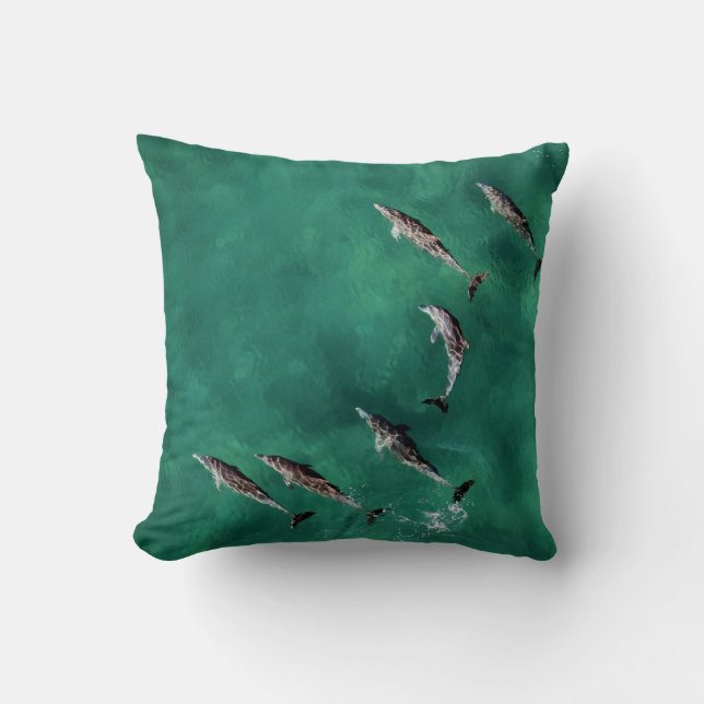 COUSSIN SIX DOLPHINS À L'EAU CALME (Recto)