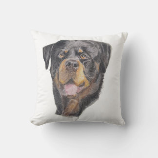 Coussin Size: Throw Cushion 40.6 x 40.6 cm (16" x 16")