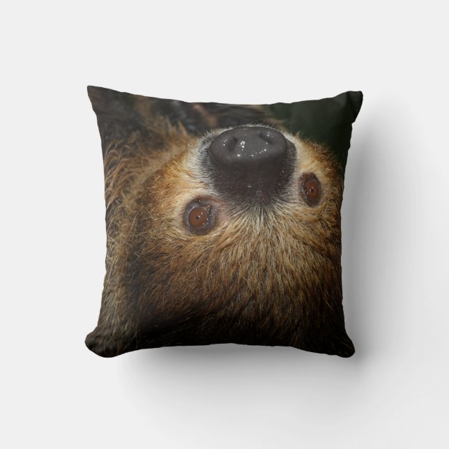 Coussin Sloth à deux doigts du Sud (Recto)