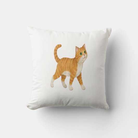Coussin Smiling Orange Cat Decorative Pillow (Recto)