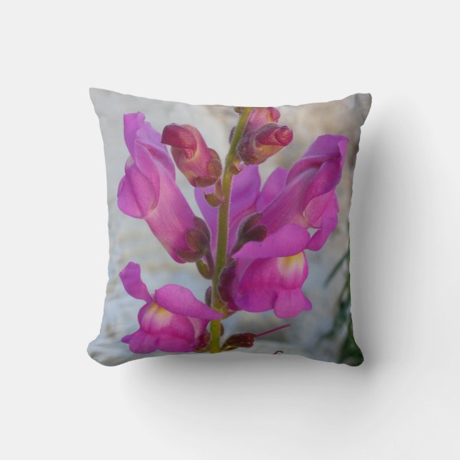 Coussin Snapdragon Violet Fleurs Florales Jardin Nature (Recto)