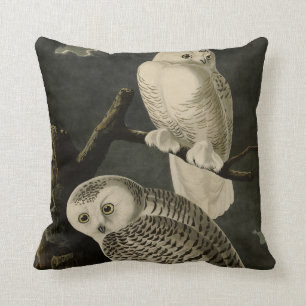 Coussin Snowy Owl, John James Audubon's Birds of America