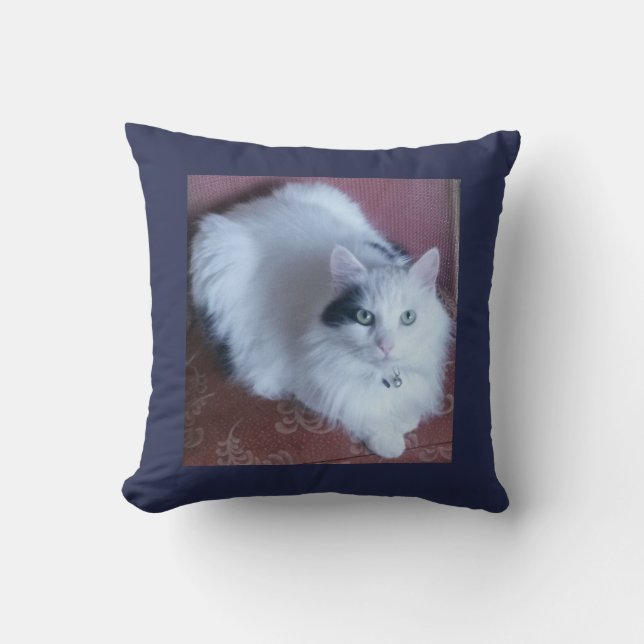 Coussin Sofa mignon aux cheveux longs câlin de chat (Recto)