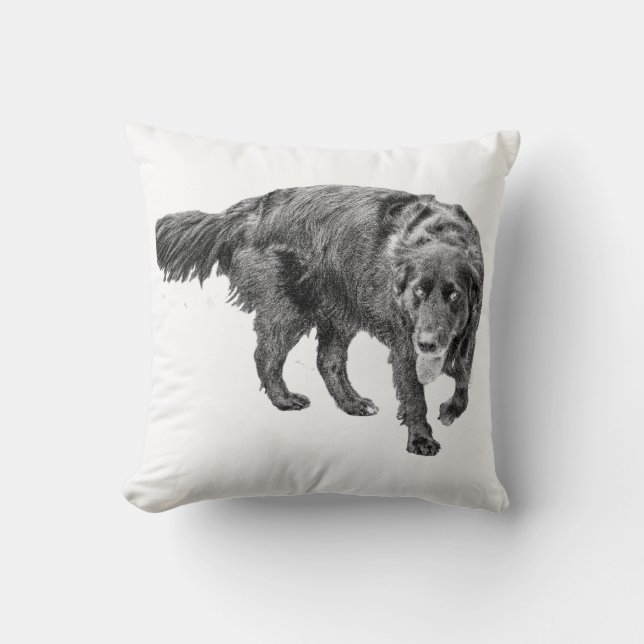 Coussin Soirée Confort du Gardien (Recto)