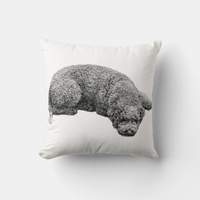 Coussin Soirée de récolte calme (Recto)